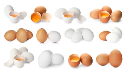 Set with fresh eggs on white background