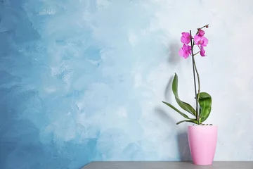 Papier Peint photo Lavable Orchidée Belle fleur d& 39 orchidée tropicale en pot sur table près du mur de couleur. Espace pour le texte
