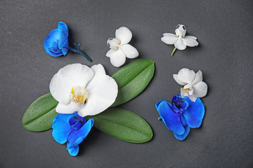 Beautiful tropical orchid flowers on black background, top view
