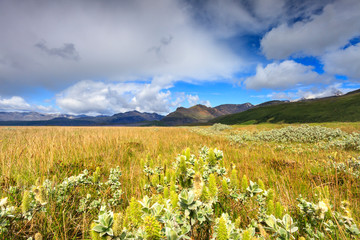 Awesome landscape nature scenery in Iceland, Skaftafell National Park