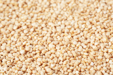 Raw white quinoa seeds as background, closeup