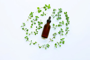 Top view. Bottle of essential oil with oregano on white background.
