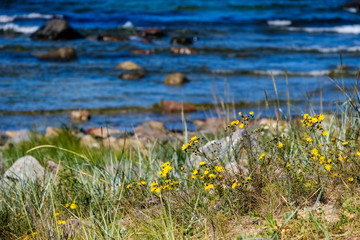 panoramic sea beach view in summer