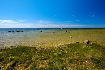 panoramic sea beach view in summer