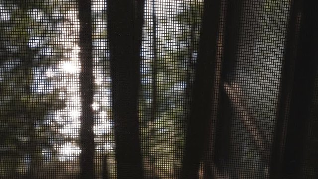 View through cottage screen. Forest and sparkling lake below. Cottage country during the summer in Haliburton, Ontario, Canada.