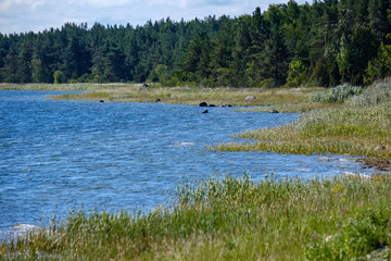 panoramic sea beach view in summer