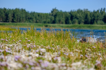 panoramic sea beach view in summer