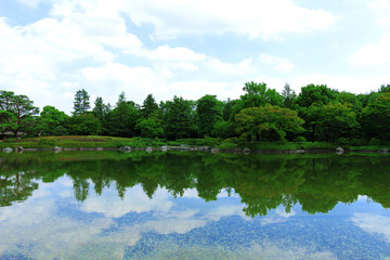 Scenery of a garden with a pond