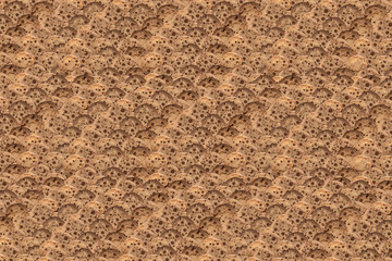 Miscellaneous Cookies