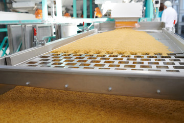 Closeup shot of production process at modern food factory, focus on macaroni sliding down conveyor belt, copy space