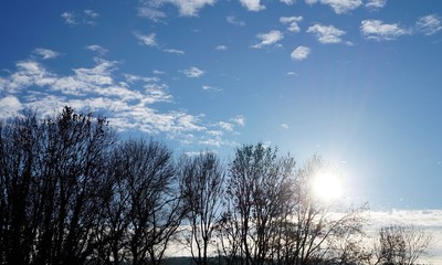 Wiese Wald Herbst Sonne