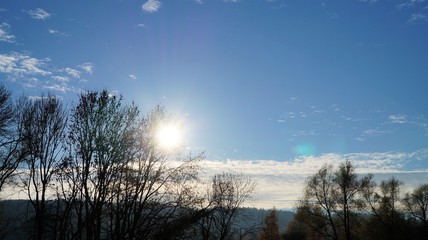 Wiese Wald Herbst Sonne