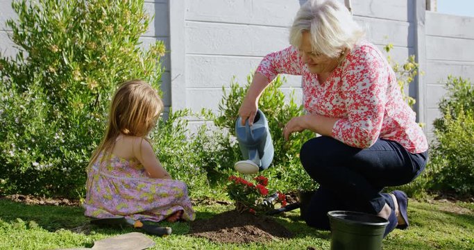 Grandmother and granddaughter watering plant in garden