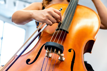 Fototapeta premium Close up of cello with bow in hands