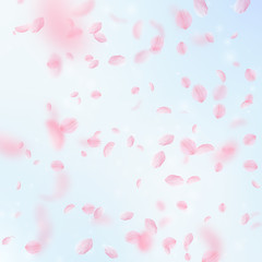 Sakura petals falling down. Romantic pink flowers 