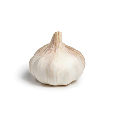 head of garlic isolated