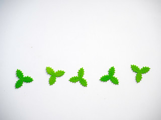 flat lay green leaves on white background