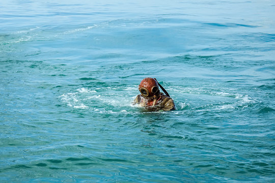 The diver plunges into the sea.