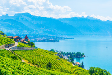 Lavaux wine region near Lausanne, Switzerland
