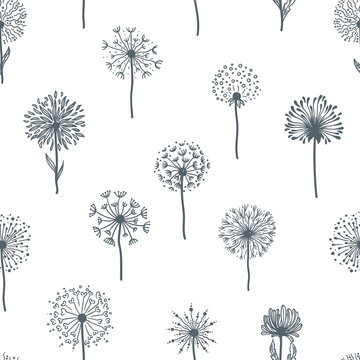 Dandelion old plant with seeds, monochrome sketches outline, seamless pattern