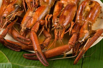 langostinos gomez fàrias tamaulipas mèxico