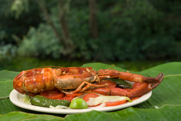 langostino gomez farias tamaulipas mèxico