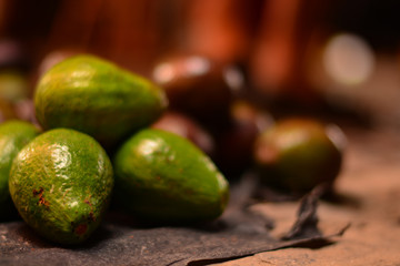 the real avocado