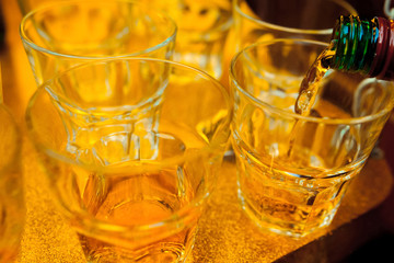  Bartender pours alcoholic cocktails.