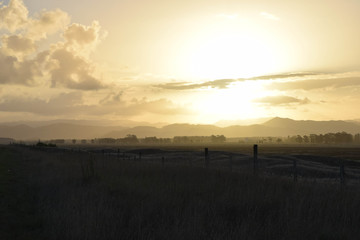 The farm at dusk, Gisborne, New Zealand.
