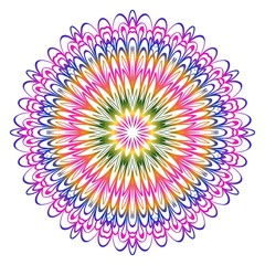 Modern Decorative Cicle Shapes. Floral mandala. vector illustration