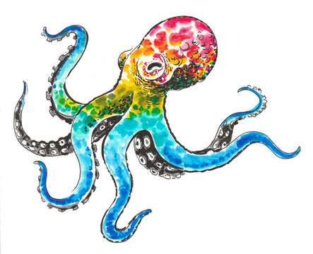 Rainbow colored octopus. Ink and watercolor illustration
