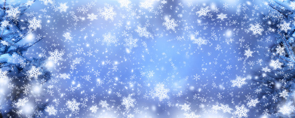 Christmas background with snowfall and spruce branch