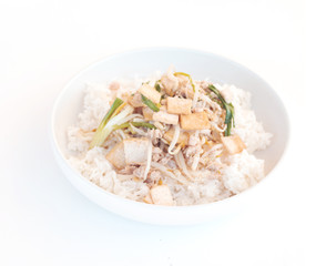 Rice topped .Stir fried bean sprouts with tofu, Thai food