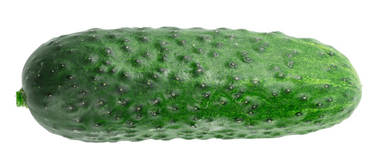 cucumber isolated on white background