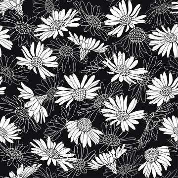 Seamless pattern with daisy flowers. Monochrome vector illustration on a black background.