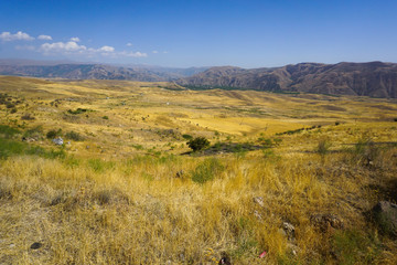 Fototapeta premium Armenian Landscape Steppe with Dry Grass