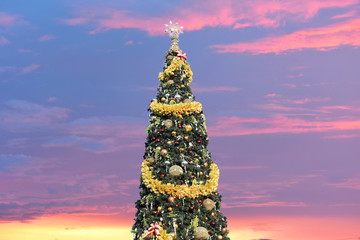 Orlando, Florida.  November 20, 2018 . Decorated Christmas Tree on beatiful sunset background in...