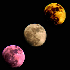 Luna  gibbosa crescente 95% © Steve Fossiant