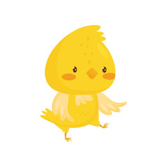 Cute chicken cartoon character vector Illustration on a white background