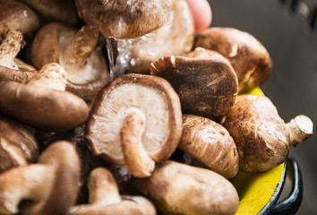 Closeup of wet mushrooms on a kitchen sink
