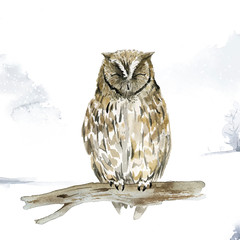 Owl in wintertime watercolor style vector