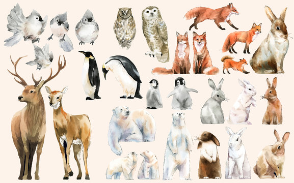 Hand-drawn wildlife set watercolor style