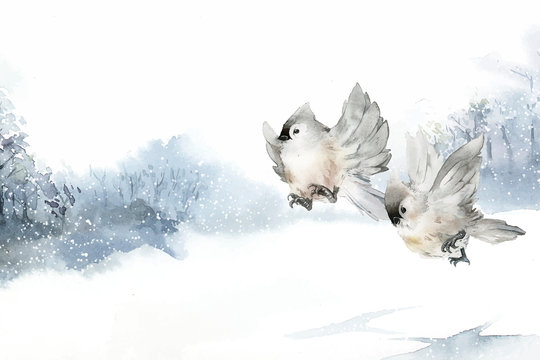 Fototapeta Tufted titmouse bird in wintertime watercolor vector
