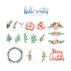 Watercolor winter bloom and elements vector