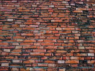 Ancient wall brick temple Ayutthaya
