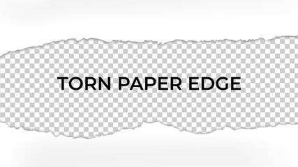 vector torn paper with ripped edges. Template mockup design 