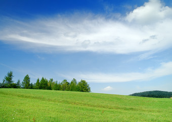 Idyllic landscape, view of green fields and blue sky