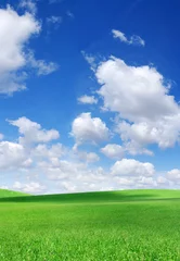 Idyllic view, green hills and blue sky with white clouds © Trutta
