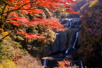 袋田の滝　紅葉