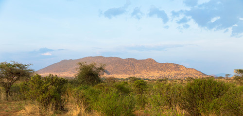 Landschaftsbild - Massai Mara